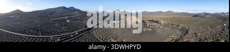 Panorama, typischer Trockenbau in vulkanischer Landschaft, auf Vulkanasche, Lapilli, aus der Luft, Weinstöcke, Weinanbaugebiet La Geria, Lanzarote, CA Stockfoto