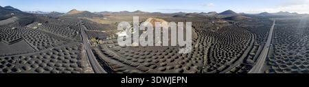 Panorama, typischer Trockenbau in vulkanischer Landschaft, auf Vulkanasche, Lapilli, aus der Luft, Weinstöcke, Weinanbaugebiet La Geria, Lanzarote, CA Stockfoto