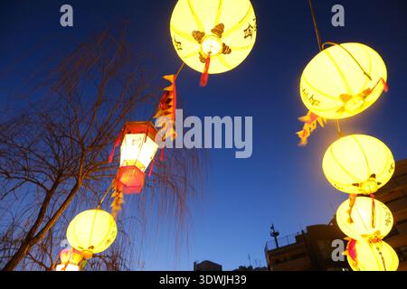 Glühende Laternen hängen während des Nagasaki Lantern Festivals an Weidenästen vor dem Dämmerhimmel Stockfoto