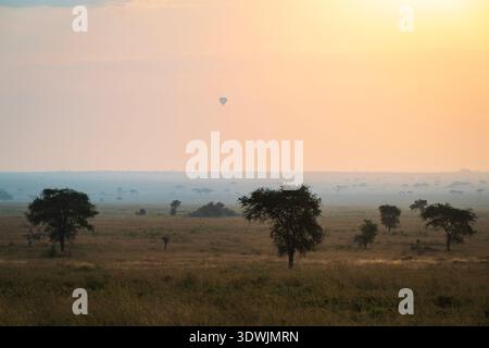 Heißluftballons, die morgens über der Serengeti, Tansania, Afrika aufsteigen, wenn die Sonne aufgeht Stockfoto
