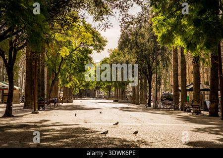 Blick auf die 'Rambla del Raval' Straße in Barcelona mit niemandem, touristisches Wahrzeichen der europäischen Stadt Stockfoto