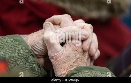 Ein alter Bauer hält seine hart arbeitenden Hände fest. Cumbria, Großbritannien. Stockfoto
