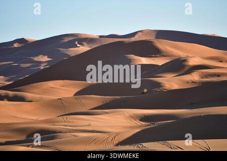 Schatten und Lichter bei Sonnenuntergang in den Dünen von Erg Chebbi in der Nähe von Merzouga, Sahara-Wüste, Marokko, Landschaft im Januar 2026 Stockfoto