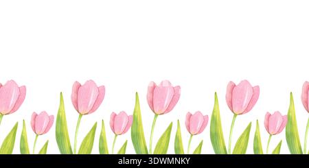 Nahtloser Rand mit frischen, zarten Tulpen und Blättern. Frühlingsrosa Blumen, handgemalt in Aquarell. Stockfoto