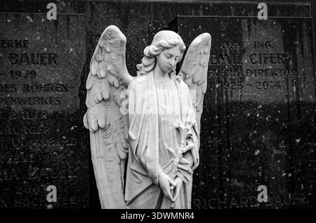Weiße Marmor Engelsstatue mit Flügeln und Lilien auf einem dunklen Friedhof Grabstein Hintergrund, einfarbig, feierliche Gedenkstimmung, draußen. Stockfoto