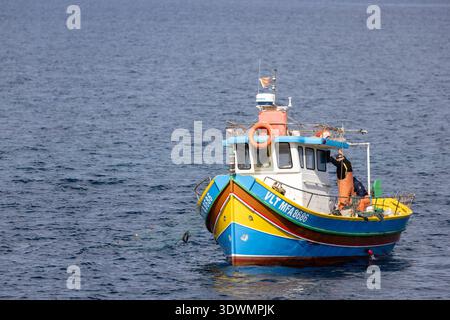 Traditionelles maltesisches Fischerboot und Fischer, die ein Netz mit einem Fang ziehen Stockfoto