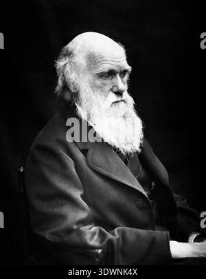Dieses auffällige Schwarz-weiß-Porträt, das 1869 aufgenommen wurde, fängt Charles Darwin in seinen späteren Jahren mit seinem legendären langen weißen Bart und seinem kahlköpfigen Kopf ein. Der bekannte englische Naturforscher und Biologe, bekannt für seine Evolutionstheorie, wird mit einem kontemplativen Blick dargestellt, ein Zeugnis für die fotografische Kunst von Julia Margaret Cameron. Stockfoto