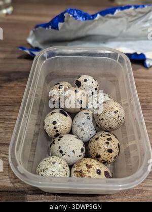 Wachteleier In Kunststoffbehälter, Gesprenkelte Schalen Auf Hölzernem Arbeitsplatte Neben Zerknitterter Aluminiumfolie, Weiches Natürliches Licht, Farmtotable Breakfa Stockfoto