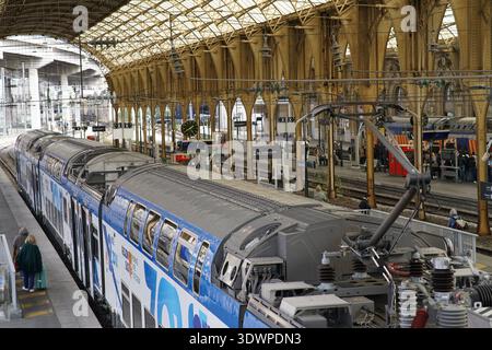 ZOU! Unter kunstvollem Bogendach am Bahnsteig Gare de Nice-Ville, historisches Interieur mit Fahrgästen, Bahnhof Nice French Riviera. Nizza, Frankreich Stockfoto