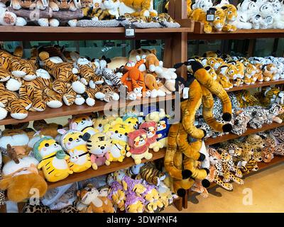 Phuket, Thailand - 27. Oktober 2025: Plüschtier-Spielzeug in Holzregalen in einem Geschäft, in dem verschiedene Designs, Farben und Stile präsentiert werden Stockfoto