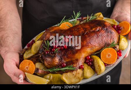 Gebackene weihnachtsente oder Gans, gefüllt mit Äpfeln und Preiselbeeren mit Mandarine, Rosmarin, Beere und Gewürzen in den Händen des Kochs. Selektiver Fokus Stockfoto