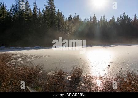 Im Alice Lake Provincial Park Squamish Canada bricht Sonnenlicht durch Nebel über einem gefrorenen See, umgeben von Kiefernwäldern Stockfoto