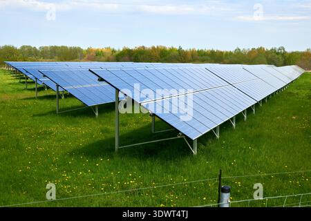 Eine weitläufige Solarpaneel-Farm erstreckt sich über ein lebhaftes grünes Feld mit gelben Wildblumen unter einem hellblauen Himmel mit hellen Wolken. Dieser ph-Wert Stockfoto