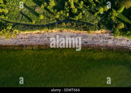 Die Drohnenaufnahme aus der Höhe zeigt einen lebhaften grünen Wald und eine Wiese neben einem gewundenen Wanderweg, der zu einem felsigen Kieselstrand führt. T Stockfoto
