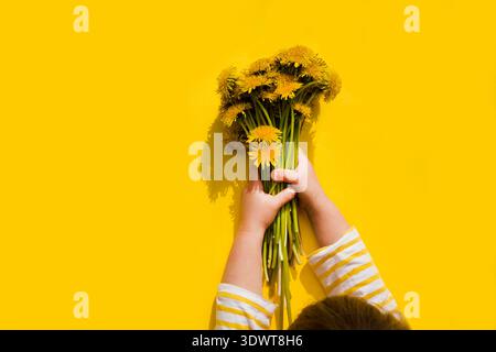 Kinderhände halten einen Blumenstrauß aus Löwenzahnblüten vor gelbem Hintergrund. Minimales Konzept. Sommerkonzept. Glücklicher Muttertag. Geburtstag Stockfoto
