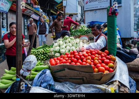 Ein Verkäufer arrangiert frische Tomaten und Blumenkohl auf einem Straßenmarkt auf dem unteren Basar in Shimla, während die Leute in der Ferne vorbeilaufen. Stockfoto
