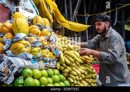 Ein Obstverkäufer sortiert Bananen an einem Marktstand auf dem Unteren Basar in Shimla, mit Papayas und Zitrusfrüchten im Vordergrund. Stockfoto