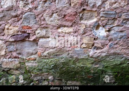 Textur einer alten mittelalterlichen Steinmauer mit verwittertem rosafarbenen Mörtel und einer dicken Schicht grünen Mooses an der Basis mit rustikalem Mauerwerk und gereiftem Stockfoto