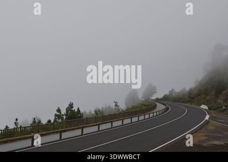 Malerische Bergstraße, die sich durch dicken Nebel und Wolken im Hochland von La Palma schlängelt. Die majestätische Kanarische Kiefer steht im Nebel. Moody Stockfoto