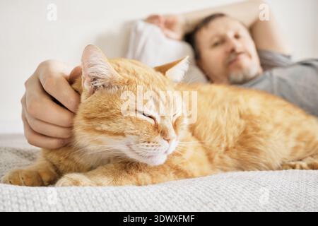 Ein Mann, der sich im Bett entspannt und liebevoll Ingwerkatze streichelt Stockfoto