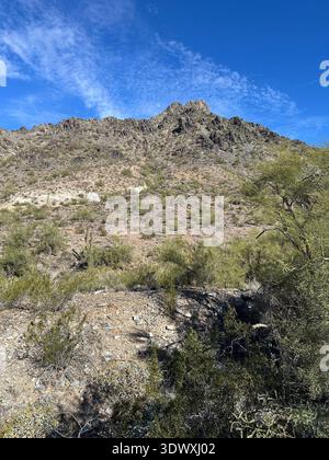 Blick vom Piestewa-Wanderweg in Phoenix, Arizona, an einem Wintermorgen. Stockfoto