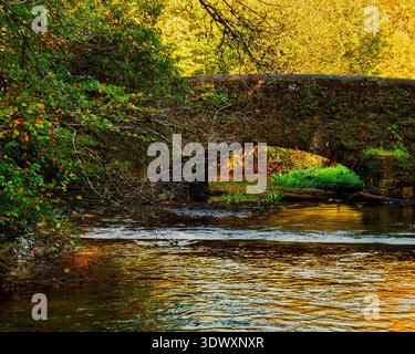 Eine robuste Steinbogenbrücke, die mit Moos bedeckt ist, erstreckt sich über einen sanften Fluss. Üppig grüne und gelbe Herbstbäume säumen die Ufer und reflektieren goldenes Licht o Stockfoto