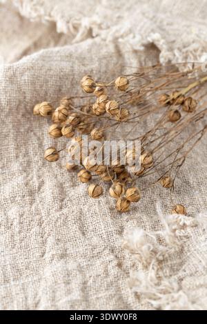Getrockneter Flachsstrauch auf reinem Leinengewebe. Natürlicher Leinenhintergrund mit Kopierraum. Stockfoto