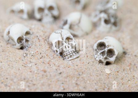 Schädel im Sand Stockfoto