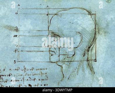 Proportionen des Kopfes. Leonardo da Vinci. c. 1488 - 1489. Stockfoto
