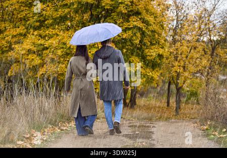 Regnerischer Herbstpark mit Paaren, die unter einem Sonnenschirm spazieren gehen, intimer Spaziergang zusammen Stockfoto