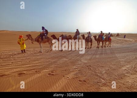 183 Kamelfahrer führt Touristen auf Dromedaren durch den Erg Chebbi Sand bei Sonnenuntergang auf dem Weg von der Stadt zu den Wüstenlagern. Merzouga-Marokko Stockfoto