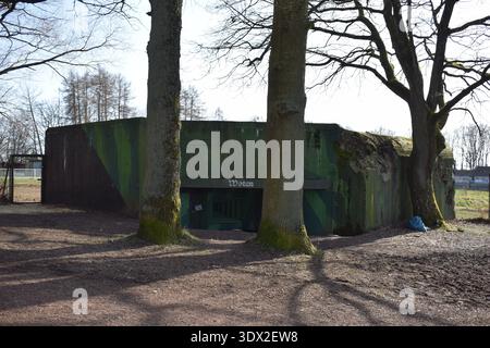 Teil des deutschen Westwalls in Frankreich Stockfoto