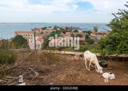 Blick vom Castel Plateau des Hafens Goree auf der Nordseite mit Hafen. Senegal. Dakar im Hintergrund Stockfoto