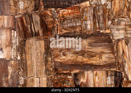 Matt versteinerte Holzstruktur. Semi-edles Muster. Exklusiver Luxus Edelstein Hintergrund. Material für einzigartige Innen-, Außen-Design-Dekoration Stockfoto