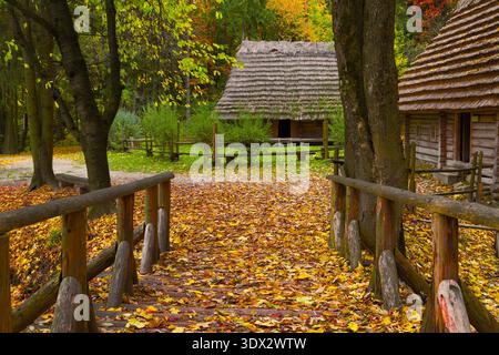 Eine malerische Szene entfaltet sich mit einer hölzernen Brücke, die mit gefallenen Blättern bedeckt ist, und führt zu traditionellen Häusern mit Strohdach, die sich in einem bunten Gebäude befinden Stockfoto