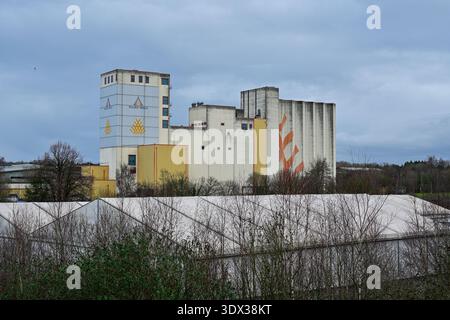 Manchester, UK, 28. Februar 2026: Allied Mehl Mill Manchester UK. Industriefabrik mit Silos und bemalten Grafiken unter bewölktem Himmel. Stockfoto