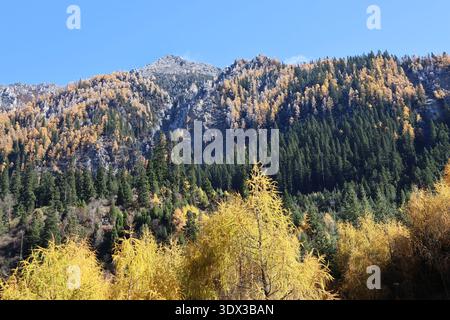 Blick auf die schneebedeckten Berge und farbenfrohen Wälder im Herbst im Jiuzhai Valley National Park, China Stockfoto