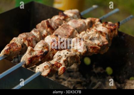 Hausgemachte Zubereitung von Schweineschaschlik auf Holzkohle im Garten. Marinierte Stücke Fleisch auf Grill über Holzkohle. Foto-Schaschlik Stockfoto