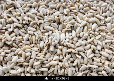 Nahaufnahme geschälter Sonnenblumenkerne. Stockfoto