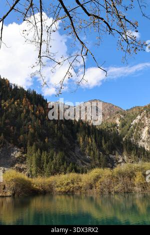 Nachmittagsblick auf schneebedeckte Berge und farbenfrohe Wälder im Jiuzhai Valley National Park im Herbst, China Stockfoto