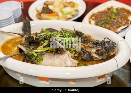 Gedämpfter ganzer Fisch nach chinesischer Art, serviert in einer reichhaltigen, scharfen Sauce, garniert mit Koriander und Zwiebeln, serviert auf einer gemeinschaftlichen Platte Stockfoto