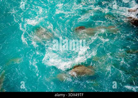 Gekräuseltes kristallklares, türkisfarbenes Flusswasser, das über glatte Steine und Kieselsteine in der Schlucht fließt Stockfoto