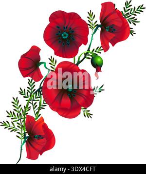 Blütenzweig von rotem Mohn, Vektor Stock Vektor