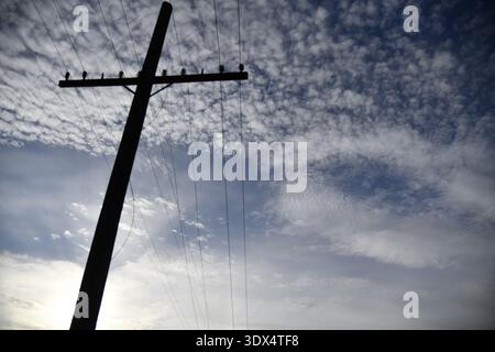 Versorgungsmasten, die vor einem blauen Himmel mit Marshmallow-Wolken stehen Stockfoto
