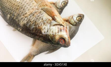Drei trockene Fische auf einem weißen Blatt Papier. Stockfoto
