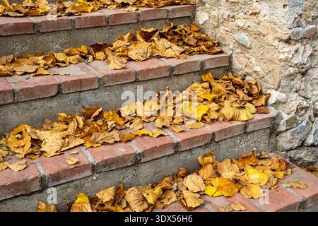 Eine Treppe mit roten Ziegeltreppen, bedeckt mit gefallenen gelben und braunen Blättern während der Herbstsaison in einem Park. Stockfoto