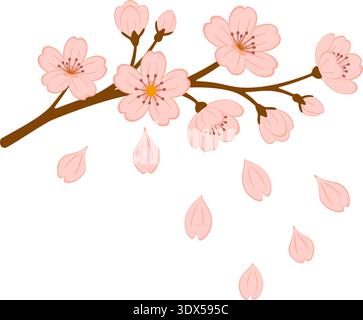 Blühender Kirschblütenzweig mit rosa Blüten und fallenden Blütenblättern. Handgezeichnet trendiger flacher Stil isoliert. Ideal für Frühlingsmotive, Karten, Drucke und romantische Dekorationen. Vektorabbildung Stock Vektor