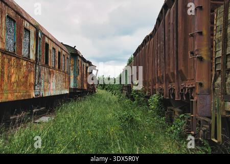 Verrostete verlassene Zugwagen auf bewachsenem Feld Stockfoto