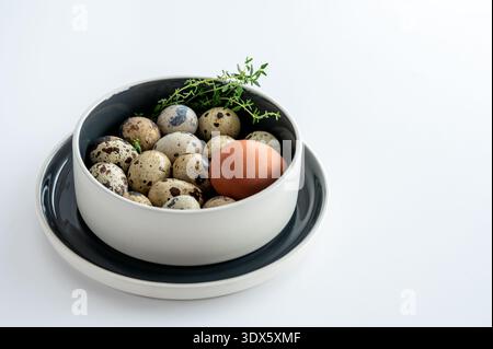 Verschiedene Wachteleier und ein braunes Hühnerei in einer Keramikschale auf weißem Hintergrund angeordnet. Naturbelassenes Bauernnahrungskonzept. Stockfoto