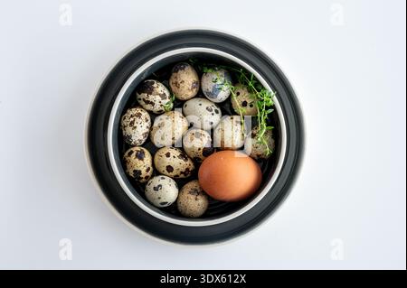 Natürliche Wachteln und Hühnereier in modernen Gerichten. Stockfoto